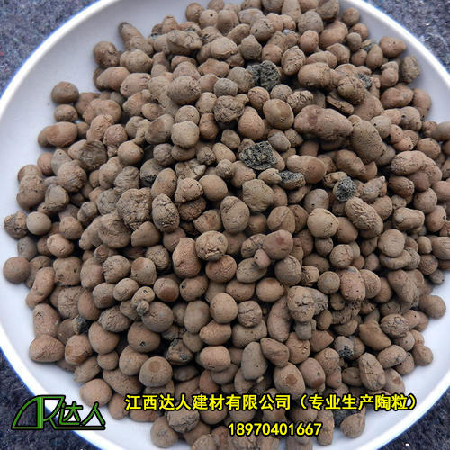 http://www.scdjlyty.cn
