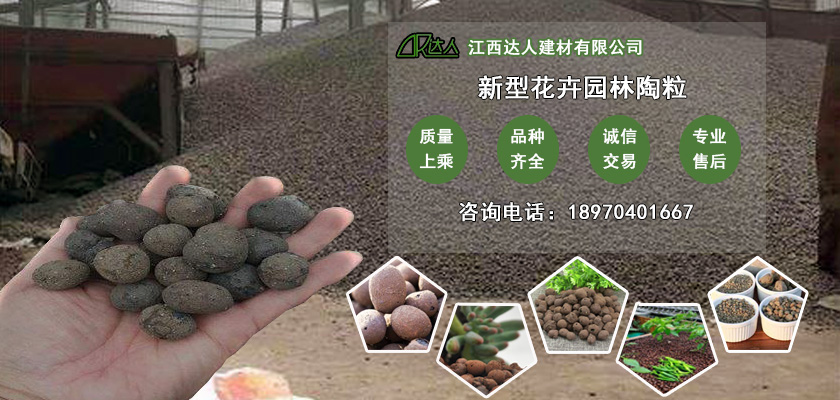 http://www.scdjlyty.cn