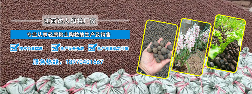 http://www.scdjlyty.cn